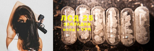 ПСИЛОЦИБИНОВЫЕ ГРИБЫ Лагань