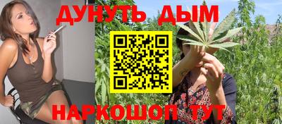 крисы Кулебаки