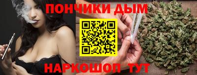 крисы Кулебаки