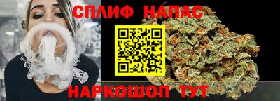 крисы Кулебаки