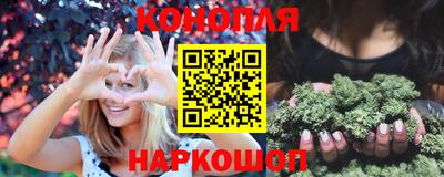 крисы Кулебаки