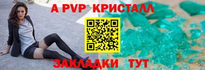 крисы Кулебаки